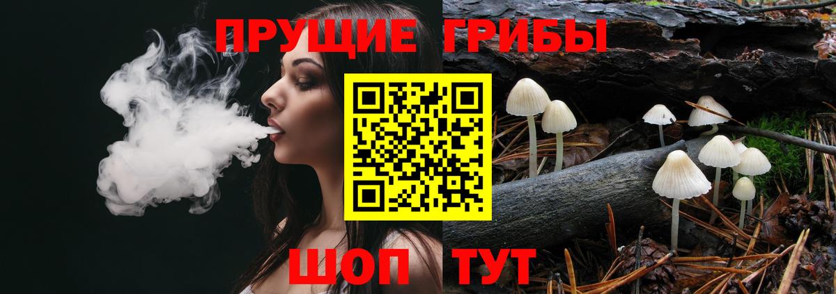 Псилоцибиновые грибы Psilocybine cubensis Алатырь